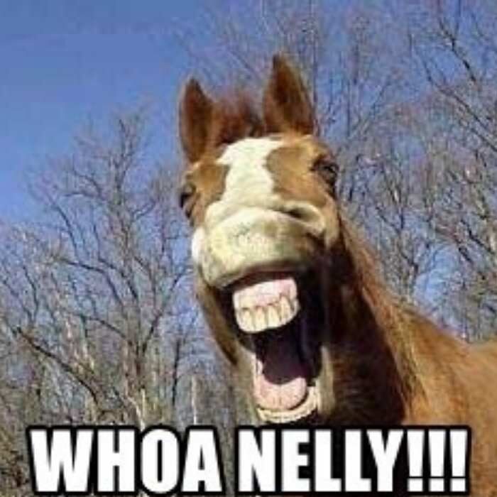 Horse with mouth open and text "woah nelly!!" overlaid on top